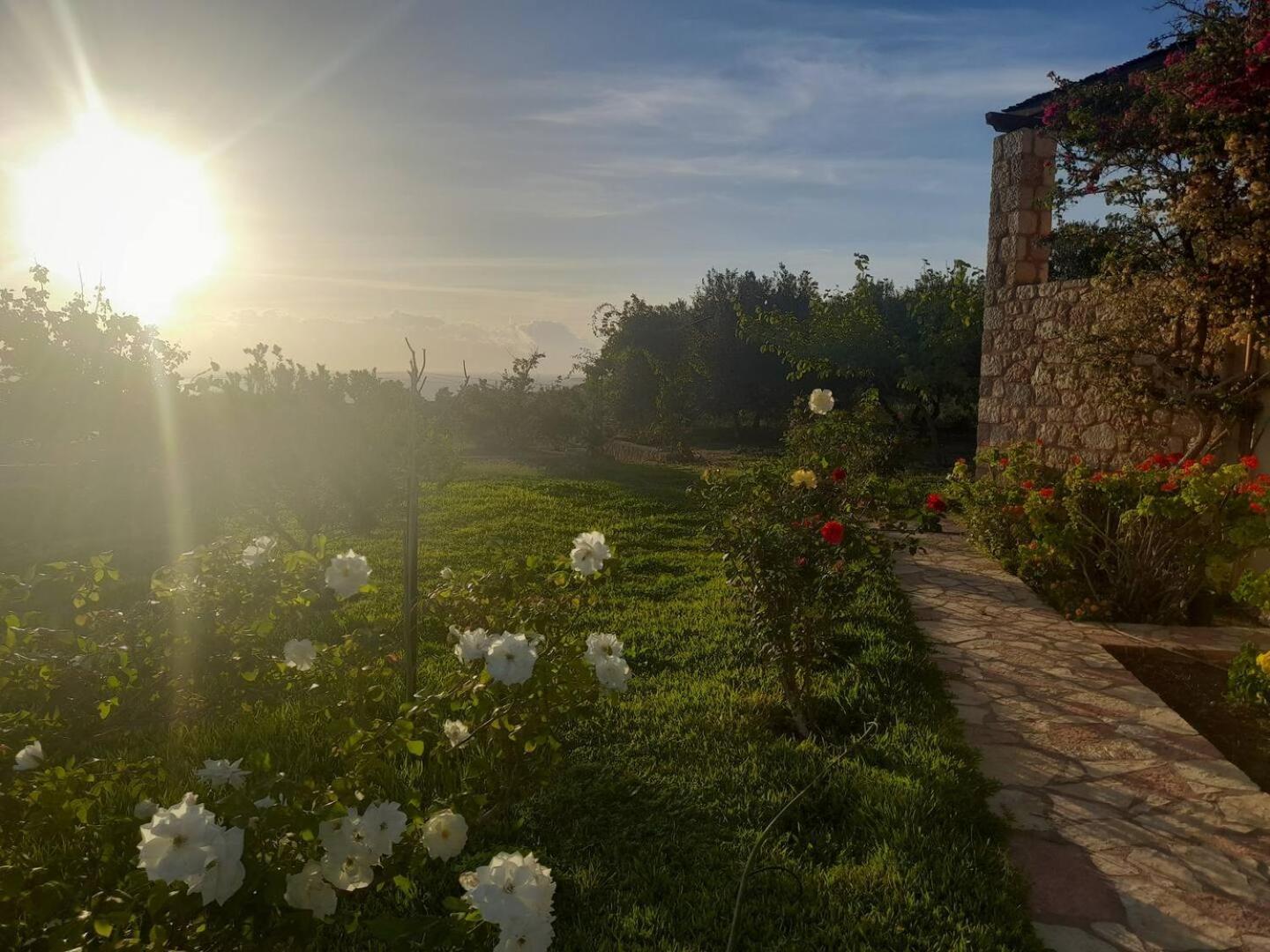 “Villa Othon-Leni” Paralia Demonias Экстерьер фото